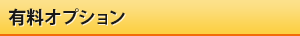有料オプション