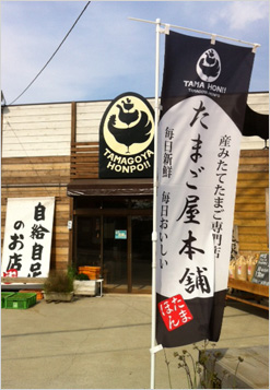 のぼりの出来栄えにスタッフ一同喜んでおります。(宮本　明憲さま)