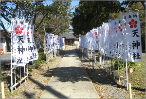 のぼり事例:神社・お祭り