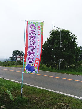 とても素敵なのぼり旗が早く送られ感謝しています。(原口　洋美さま)