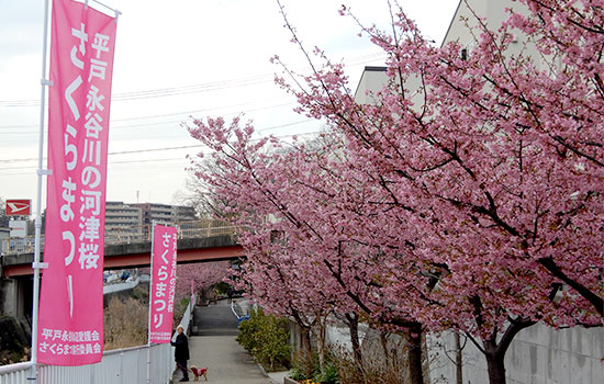 登り旗ありがとうございました。　平戸永谷川水辺愛護会　土屋 清敬さま
