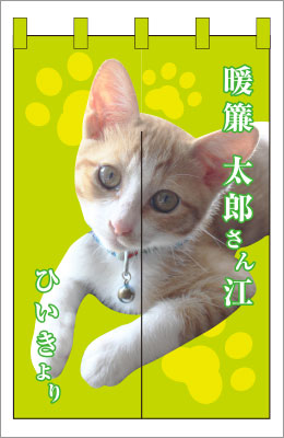 楽屋のれん10【写真のれん】