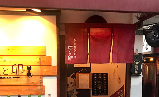 猫と卵　新田 憂子さまよりいただいたお客様の声