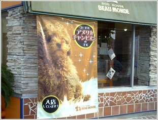 店舗の看板としても活躍する横断幕・懸垂幕