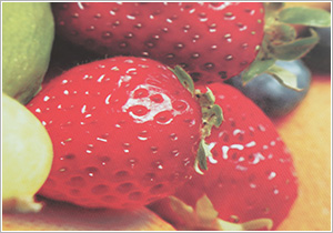 インクジェットプリント 色鮮やかなフルカラー発色