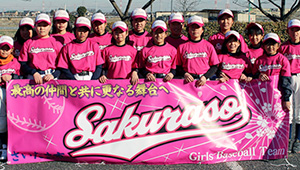 野球・ソフトボール横断幕