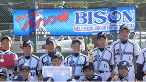 野球・ソフトボール横断幕