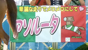 競艇・競馬・競輪横断幕