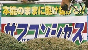 競艇・競馬・競輪横断幕