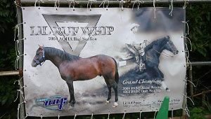 競艇・競馬・競輪横断幕