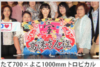 制作例　たて700× よこ1000mmトロピカル